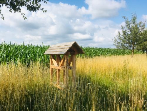 Insektenhotel sucht Betreuer