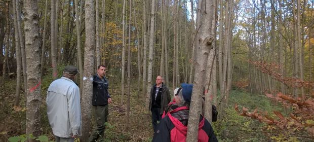 Böfinger Waldbegehung 2017